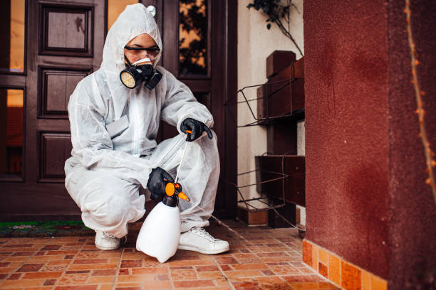 Reliable Bed Bug Control contractor in Fort Campbell North, KY by Nex Pest Control