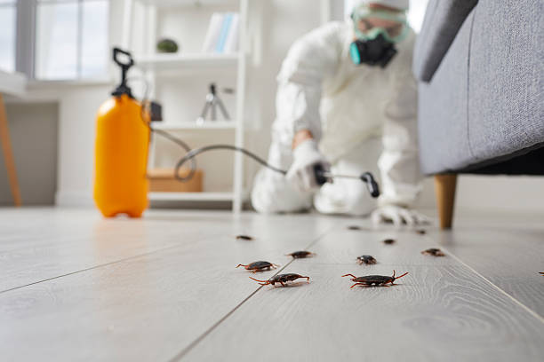 Trusted Emergency Pest Control service in Fort Campbell North, KY - Nex Pest Control